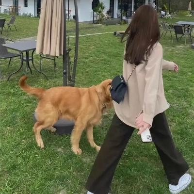 寻找遗失的未来