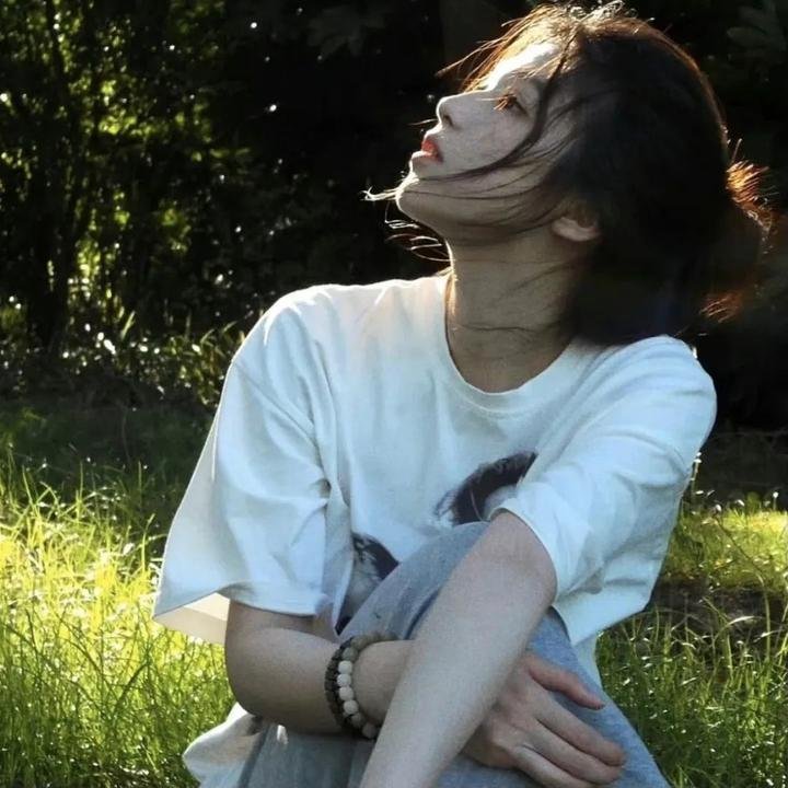 晴晚之林